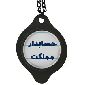 آویز تزئینی خودرو مدل حسابدار مملکت کد 313