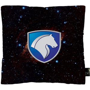 بالش نشیمن خودرو رنس مدل m1 10936
