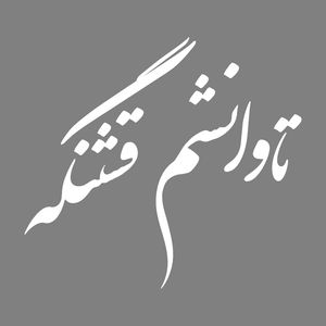 برچسب بدنه خودرو طرح تاوانشم قشنگه کد mt w422