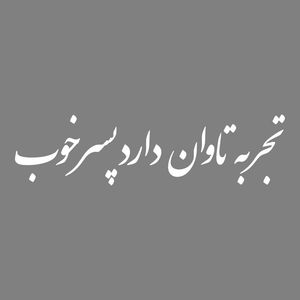 برچسب بدنه خودرو طرح تجربه تاوان دارد پسر خوب کد mt w504