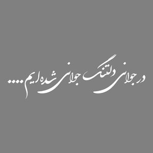 برچسب بدنه خودرو طرح در جوانی دلتنگ جوانی شده ایم کد mt w390