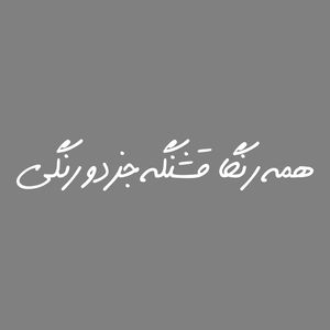 برچسب بدنه خودرو طرح همه رنگا قشنگه جز دو رنگی کد mt w425