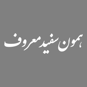 برچسب بدنه خودرو طرح همون سفید معروف کد mt w446