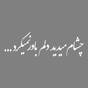 برچسب بدنه خودرو طرح چشام میدید دلم باور نمیکرد کد mt w486