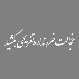 برچسب بدنه خودرو ماتریسیو طرح خجالت ضرر نداره تفریحی بکشید کد m w338