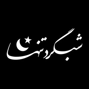 برچسب بدنه خودرو ماتریسیو طرح شبگرد تنها کد m41