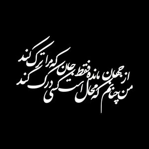 برچسب بدنه خودرو کد b100