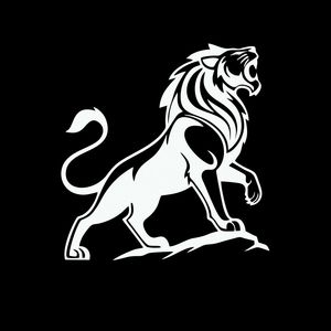 برچسب بدنه و شیشه خودرو کد l2