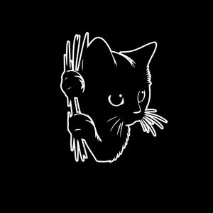 برچسب شیشه و بدنه خودرو کد 213b