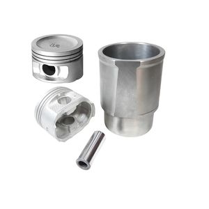 بوش و پیستون و گژنپین کاپلان پلاس مدل xu7 مناسب برای پژو 405 بسته 4 عددی