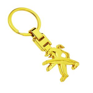 جاسوئیچی خودرو طرح peugeot