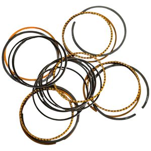 رینگ موتور خودرو دیناپارت مدل یونیکس کد 0.25 مناسب برای تارا و دانگ فنگ h30 کراس بسته ۲۰ عددی