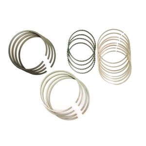 رینگ موتور ریک مدل 0.25 کد 40011 مناسب برای پراید بسته 20 عددی