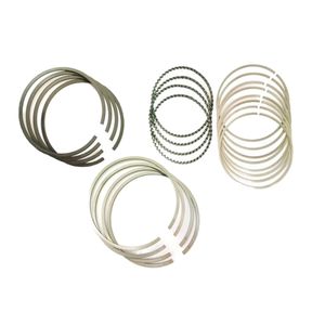 رینگ موتور ریک کد 40842 مناسب برای 206 تیپ 5 بسته 20 عددی