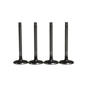 سوپاپ بنزین اتوموتور کد am.99480956 مناسب برای پژو 405 بسته 4 عددی
