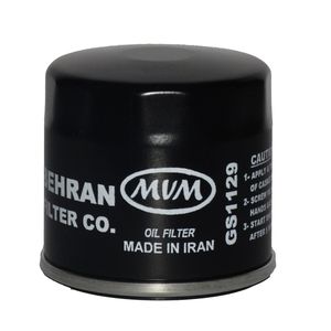 فیلتر روغن خودرو بهران فیلتر مدل gs1129 مناسب برای mvm110