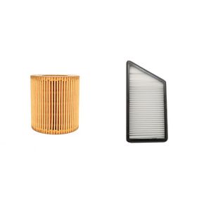 فیلتر روغن خودرو فاین مدل fo6964e مناسب برای پژو 206 به همراه فیلتر کابین