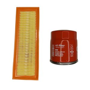 فیلتر روغن خودرو کد ecu 1227 مناسب برای پژو 405 به همراه فیلتر هوا