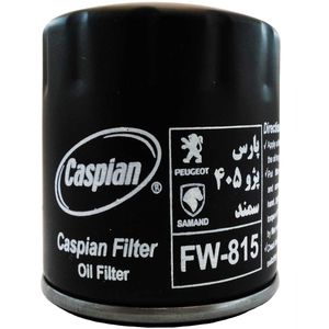 فیلتر روغن خودروی کاسپین مدل fw 815 مناسب برای پژو 405