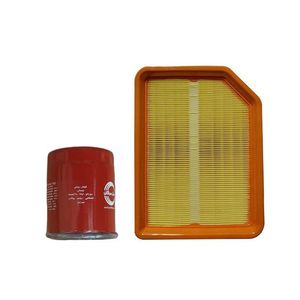 فیلتر روغن سرکان مدل flt02 مناسب برای آریو z300 به همراه فیلتر هوا