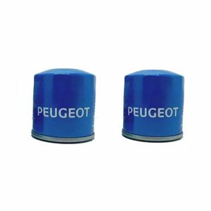 فیلتر روغن هنگ مدل hfo04 مناسب برای پژو پارس بسته 2 عددی