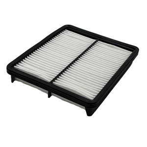 فیلتر هوا خودرو  هیوندای جنیون پارتز مدل 28113 2p100 مناسب برای کیا کادنزا