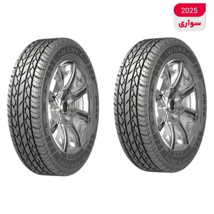 لاستیک خودرو بارز مدل p648 سایز 13 _ 65 _ 165 میلی‌متر تولید سال 2025   2 حلقه