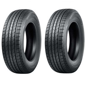 لاستیک خودرو نانکنگ مدل sp9 سایز 185_65r15   دو حلقه