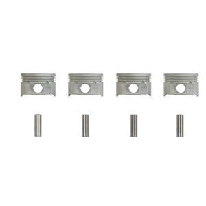 مجموعه 4 عددی پیستون و گژنپین کارتک مدل cttu5005