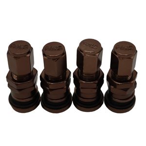 والف لاستیک خودرو رایز مدل br 805 بسته 4 عددی