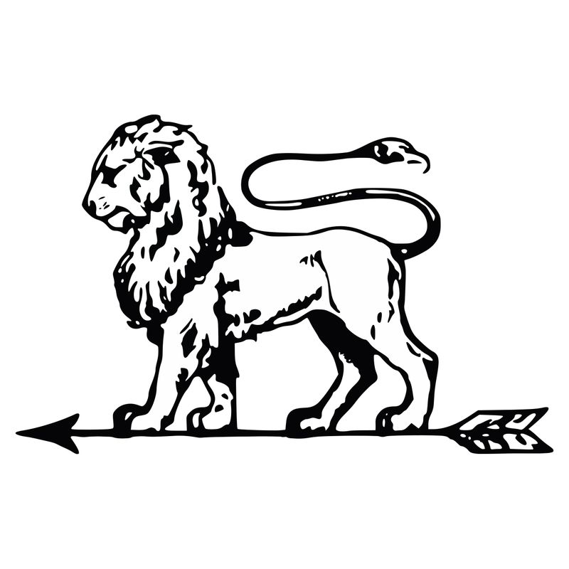 استیکر خودرو پویا مارکت طرح شیر کد 1428