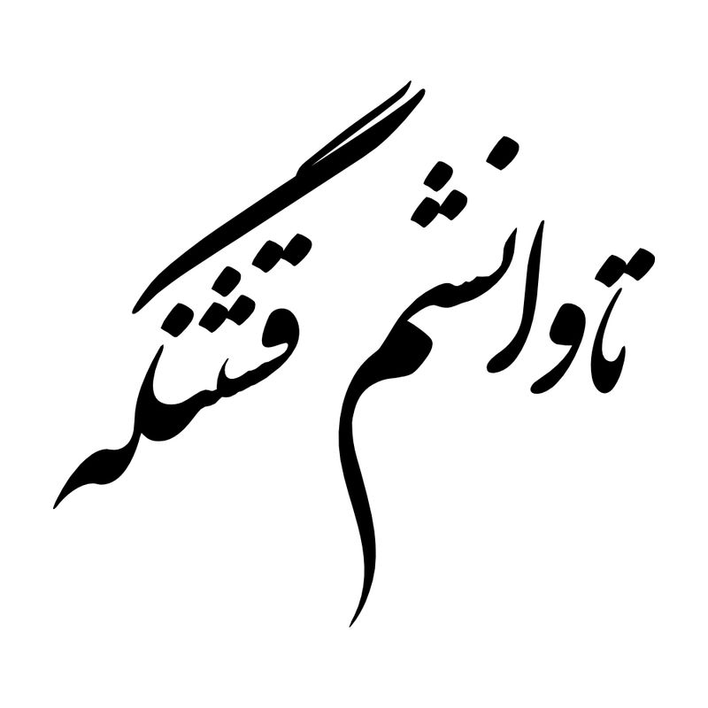 برچسب بدنه خودرو طرح تاوانشم قشنگه کد mt b422
