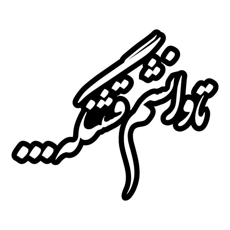 برچسب بدنه خودرو طرح تاوانشم قشنگه... کد mt b429
