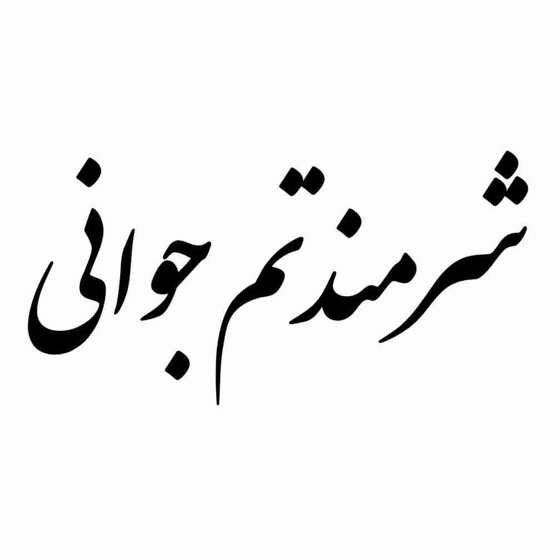 برچسب بدنه خودرو طرح شرمندتم جوانی کد mt b453