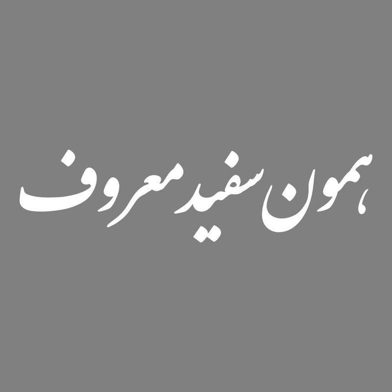 برچسب بدنه خودرو طرح همون سفید معروف کد mt w446