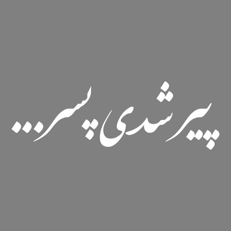 برچسب بدنه خودرو طرح پیر شدی پسر کد mt w493