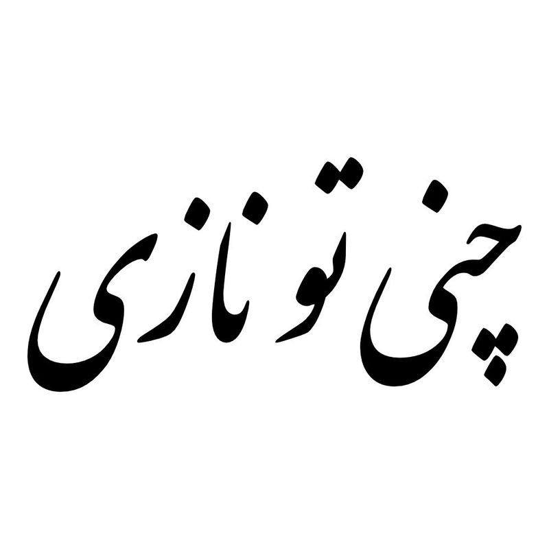 برچسب بدنه خودرو طرح چنی تو نازی کد mt b484