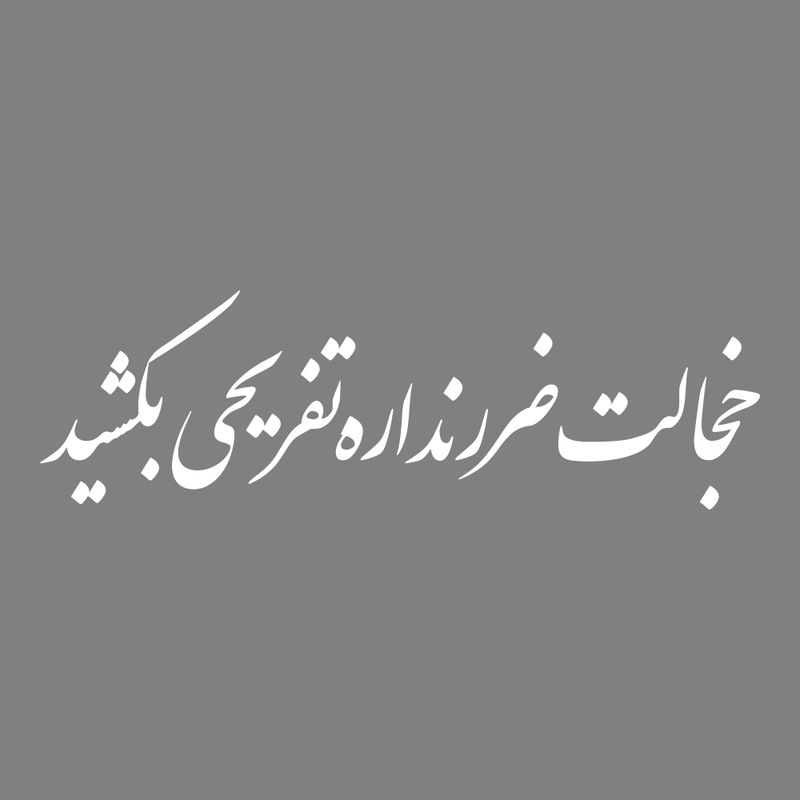 برچسب بدنه خودرو ماتریسیو طرح خجالت ضرر نداره تفریحی بکشید کد m w338