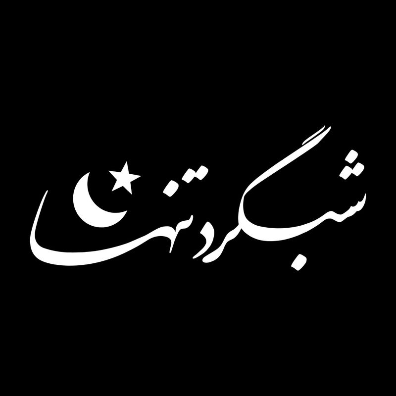 برچسب بدنه خودرو ماتریسیو طرح شبگرد تنها کد m41