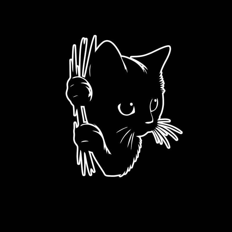 برچسب شیشه و بدنه خودرو کد 213b