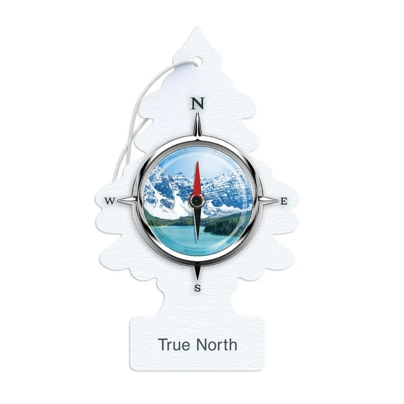 خوشبوکننده خودرو لیتل تریس مدل trees رایحه true north