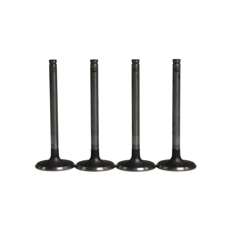 سوپاپ بنزین اتوموتور کد am.99480956 مناسب برای پژو 405 بسته 4 عددی
