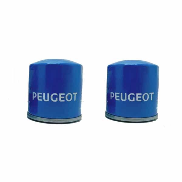 فیلتر روغن هنگ مدل hfo04 مناسب برای پژو پارس بسته 2 عددی