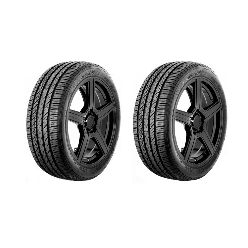 لاستیک خودرو نانکنگ مدل ns25 سایز 225_40zr19   دو حلقه